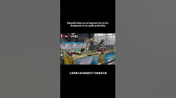 Shandong Kewei Industrial robot Co., LTD #robotic #factory #industrial #robot