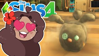 🐰 Just Bury Me in DUST BUNNIES!! 🐰 Sims 4: Bust This Dust Kit!