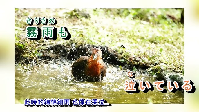石原詢子　流失 