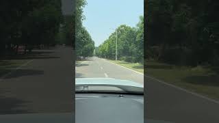 Travel diaries #ytshorts #travel #songs  #bollywoodsongs #trendingshorts #driving #vlog #music #yt