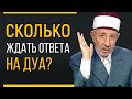 Аллах не принимает дуа. Часть 3 | Когда Аллах ответит на мое дуа? | Шейх Рамадан аль-Буты