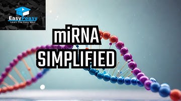 What Is miRNA? MicroRNA Explained Simply
