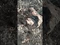 5 марта 2025 г.