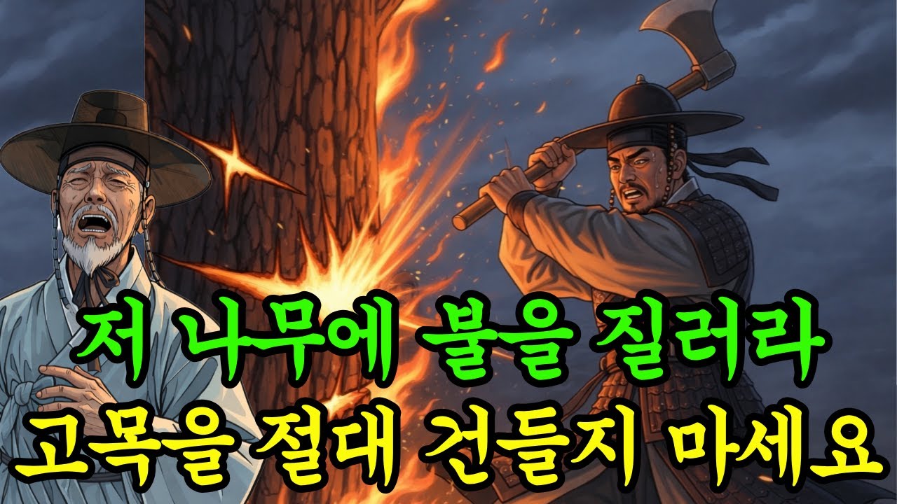 고목을 건들지 마시오 /고목 하나로 흔들린 마을(야담만세)