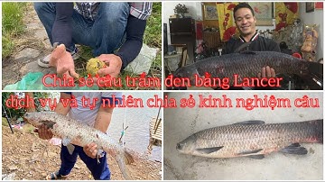 Phối trộn mồi câu Trắm đen bằng Lancer (lăng xê)và chia sẻ cách câu dịch vụ và tự nhiên