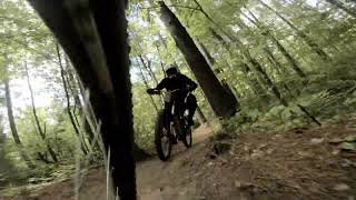 Battle of the downhill bikes
