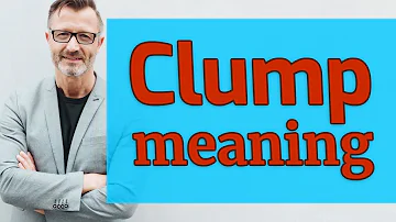 Quel est le sens de clivage ? Quel est le sens de clivage ?