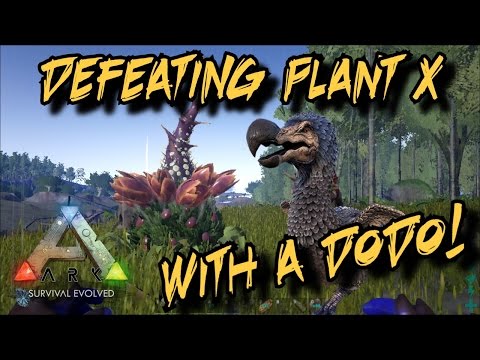 Defeating Plant Species X with a Dodo! - Ark Survival Evolved