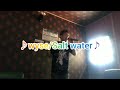 wyse/Salt water    歌ってみた