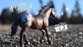 Take Photos of Schleich Horses with Me ??