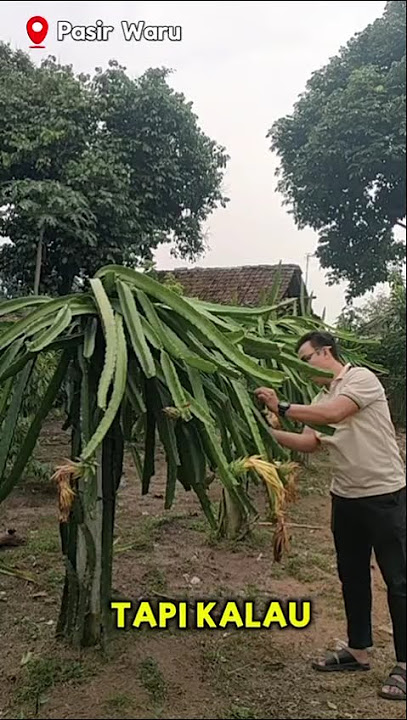 Kenapa Karyawan Tidak Kaya, berikut jawabnya #vidioshort #vidioviral