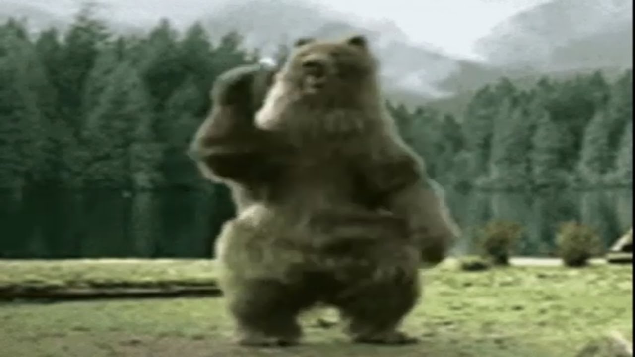 Bear dance gif