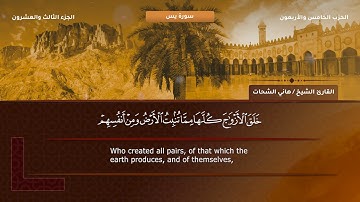 36- سورة يس - تلاوة الشيخ هاني الشحات إمام مسجد الأرقم مدينة نصر رحمه الله