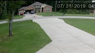 19-year-old saves child from dog attack