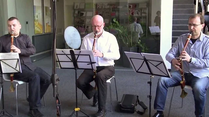 Lotz Trio - Basset Horn trio - W.A.Mozart: Zauberf...