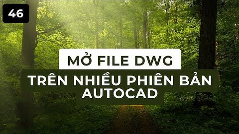 Lỗi khi mở file autocad cac phien ban khac nhau năm 2024