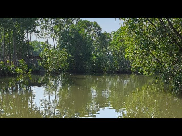 Kotomono angler sedang live di spot leter u Wonokerto kabupaten Pekalongan