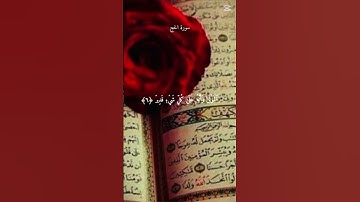 ايات من سوره الحج❤️ #المصحف #الرحمن