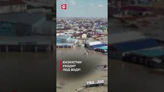 Около 100 тысяч человек лишились жилья в Казахстане! #shorts #казахстан #наводнение #новости