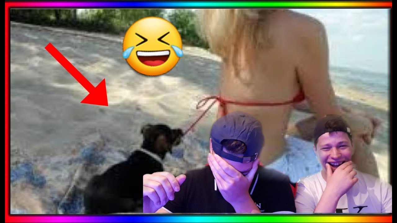 Vidéo Drôle à Mourir De Rire Chute 2020 VIDÉO a MOURIR de RIRE ( compilation de chute )vidéo réaction 😂🤣 - YouTube