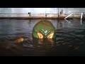 End of video