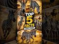 Zebra Facts #shorts #animalfacts