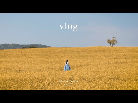 A <strong>spring</strong> trip in Hanbok🇰🇷 Feel the beauty <strong>of</strong> Korea