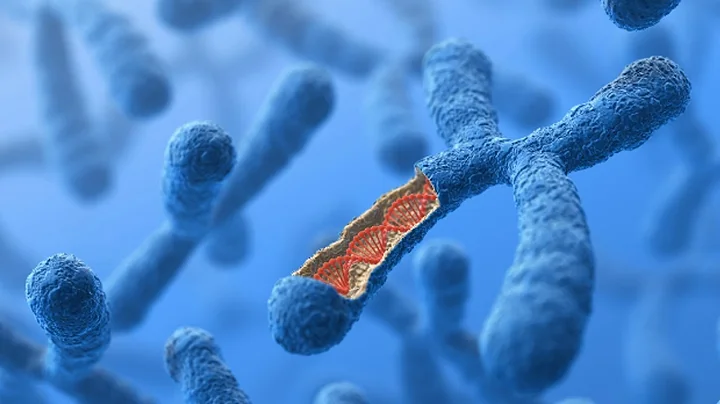 Chinese Scientist's Human Genetic Engineering Experiment is 'Crazy' - DayDayNews