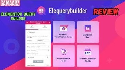 Elementor Query Builder Review, Demo + Tutorial I The custom fields with the Elementor Posts widget