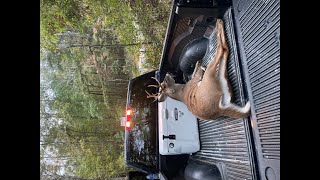 hunting the georgia rut looking for a shot!!! sucess