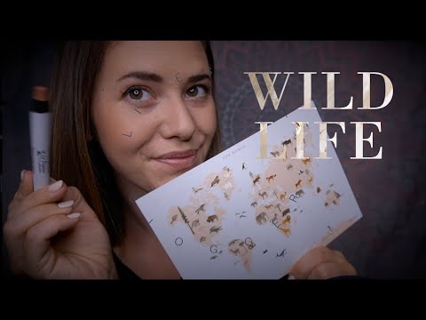 ASMR WILDE ENTSPANNUNG erwartet dich #trendbox Unboxing | Whisper Tapping & Scratching - Deutsch