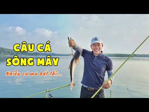 Trải Nghiệm Câu Cá Tại Sông Mây | Câu Cá Bán Tự Nhiên | Chung Nguyễn Fishing
