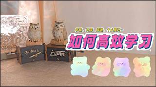 如何高效学习(学业,兴趣,深造,个人提升…)How to Study Efficiently
