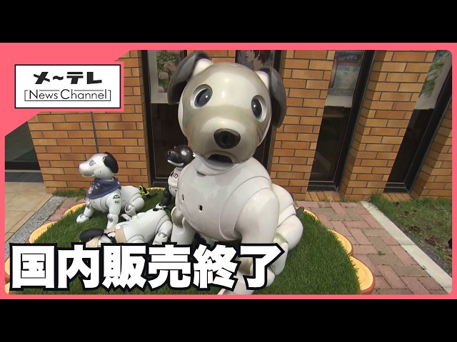 aibo本体【動きません】 Sony Discontinues Domestic Sales of Current 