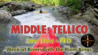 Middle Tellico with the River Kings - Low Flow PFD