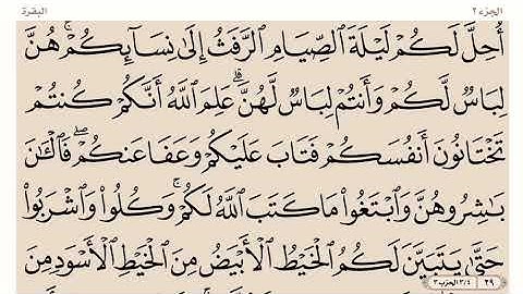 صفحة رقم 29 من القران الكريم بصوت الشيخ ياسر الدوسري