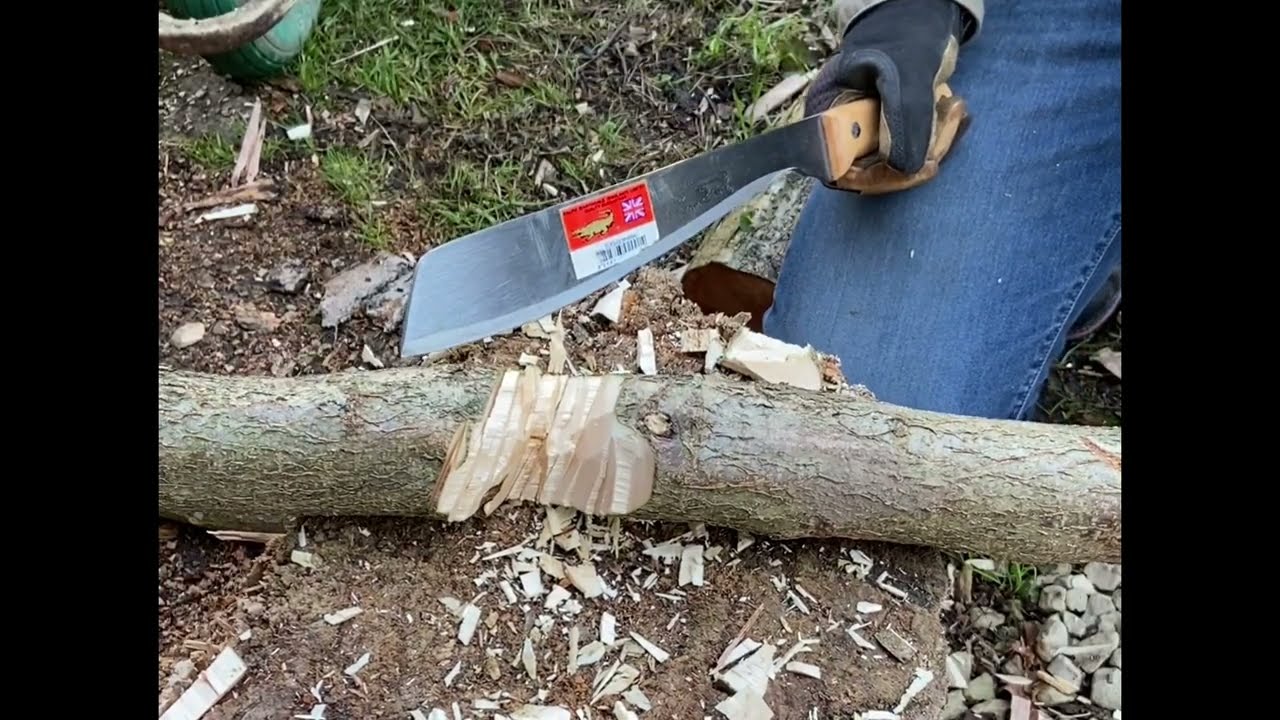 BMC Chopra Vs A Golok