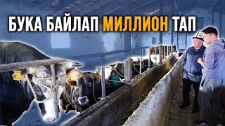 Бул байке баарын айтып берди - Агроветазия #АйылдыкМиллионер