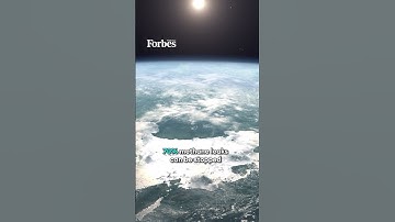 Is Cutting Methane Emissions The Key To Our Climate Targets?