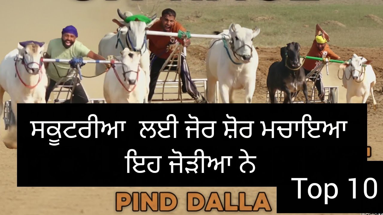 Pind-Dalla( top 10 ) #oxracepunjab #shonkpunjabde #viral 