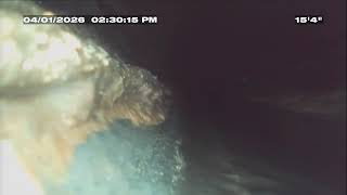 Sewer Scope (Both Directions) 25104 Pacific Hwy S Kent Wa   SD 480p