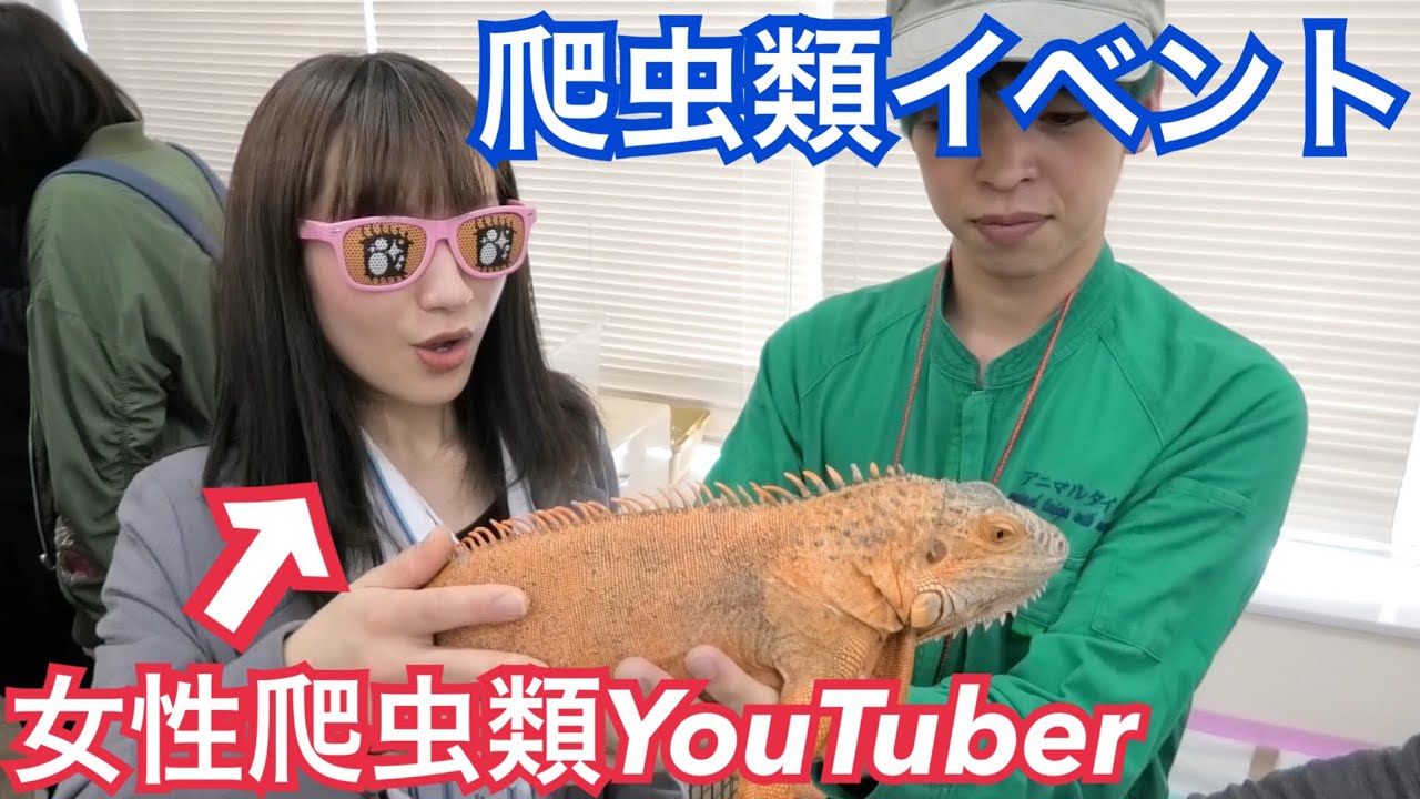 美女爬虫類youtuberとイベントデートしてきた Youtube
