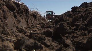 'Every farm's budget is hurting': Colorado farmers concerned about rising fertilizer prices