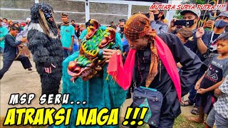 KUDA LUMPING MSP ❗❗ MUTIARA SURYA PUTRA DI SAPAN | MSP SUNDAAN DI JALAN | LEMBUR KURING