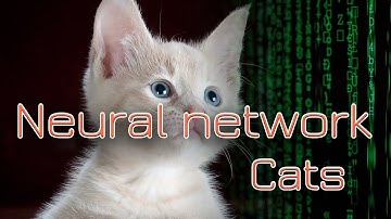 Neural network cats. Machine learning.