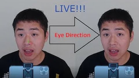This App redirects your gaze / eyes to camera (in real time / pre-record), NO need to write any code