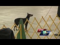 Cal Expo plays host to the “Sacramento Dog Show” Cal Expo plays host to the “Sacramento Dog Show”