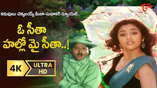 O Seeta Hello My Seeta Song 4K | Sudhakar, Meena | Seetaramaiah Gari Manavaralu | Old Telugu Songs