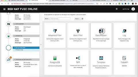 Red Hat Fuse Online - Data Services