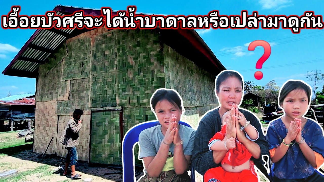 เอื้อยบัวศรีจะได้น้ำบาดาลหรือเปล่ามาดูกัน​❓​